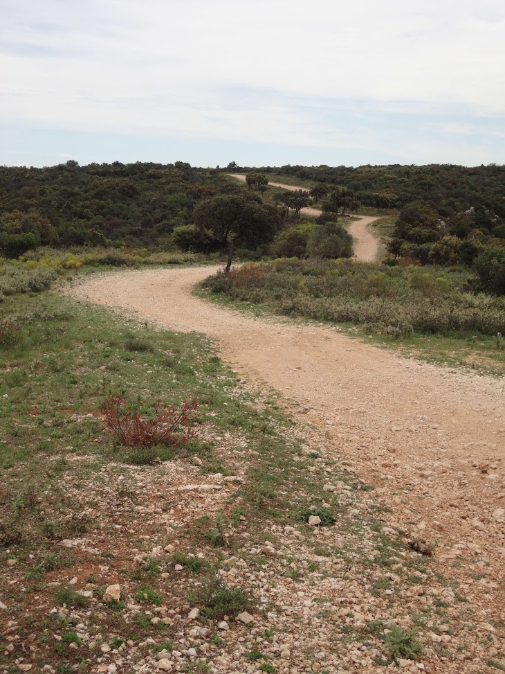 Achat de Terrain au Sénégal : Les Documents Obligatoires et Comment Éviter les Arnaques